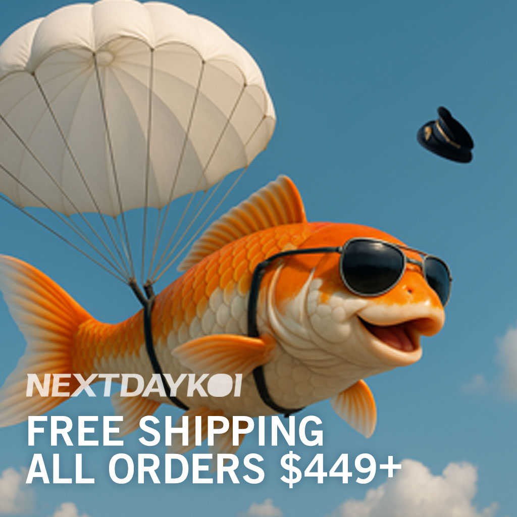 Free Shipping $449+