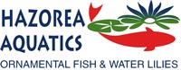 Hazorea Aquatics company logo