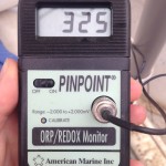 ORP meter showing optimal levels for a koi pond 