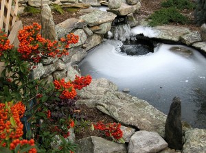 WInter koi pond with hole from aeration