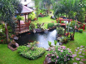 Outdoor koi pond in landscaped yard with gazebo