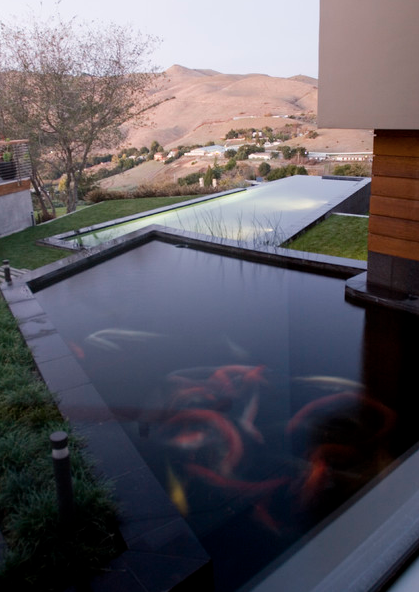 Luxury Koi Ponds Dispersed Within Super Beautiful Homes Along Big