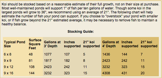 Koi Pond stocking guideline