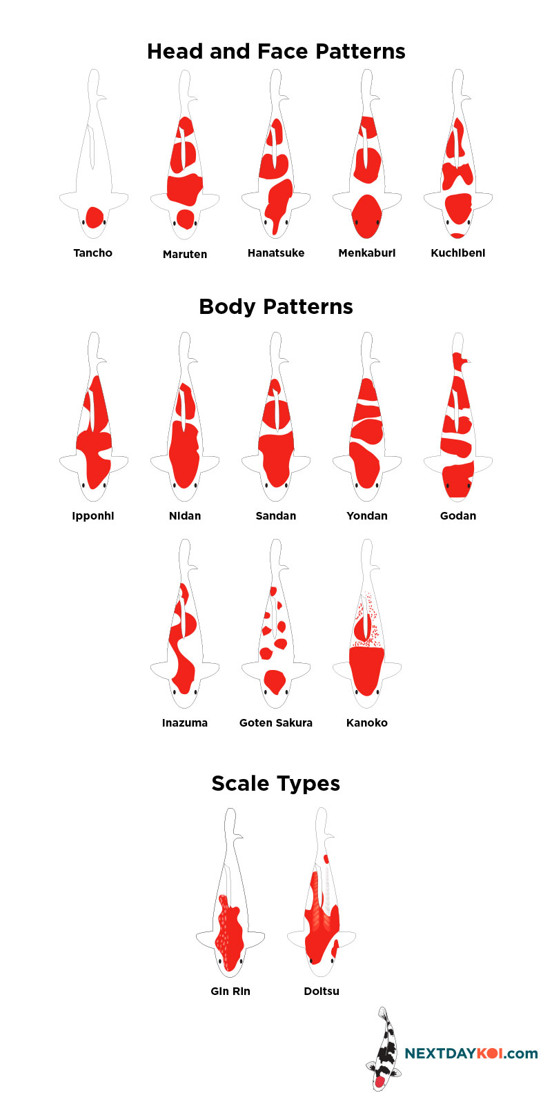 Different types of Kohaku patterns
