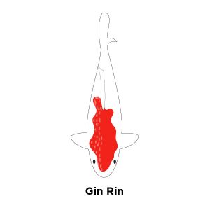 Gin Rin Kohaku
