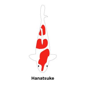 Hanatsuke Kohaku