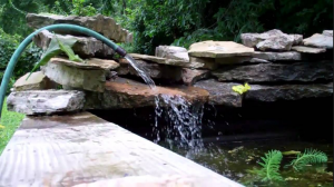 Koi pond water change using garden hose