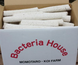 Bacteria House Media from Momotaro Farms