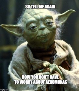 Yoda Aeromonas