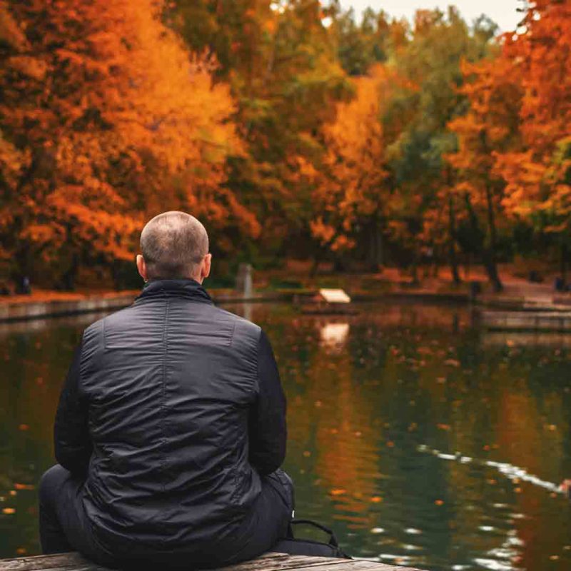 Person sitting beside pond surrounded by trees