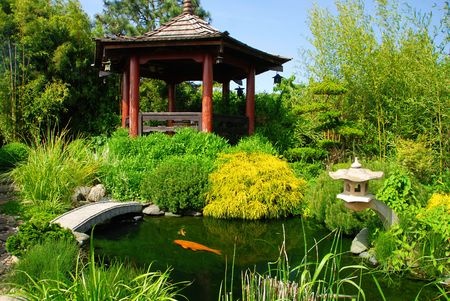 Koi Fish Pond Lanscaped with Japanese Design