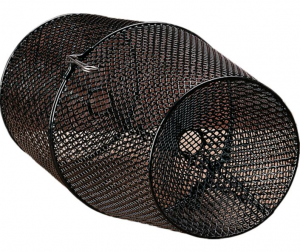 Minnow trap that can be used to catch snakes in koi ponds