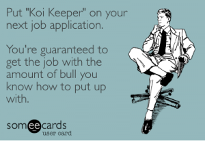 Koi meme 6 koi job description