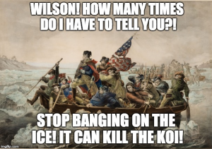 Koi meme 5 koi under ice