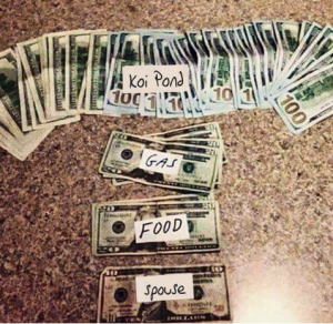 Koi Meme 9 money for koi