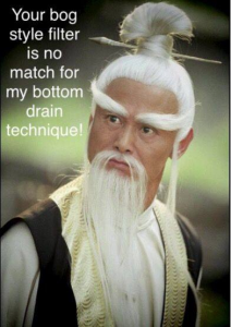 koi meme kung fu koi style