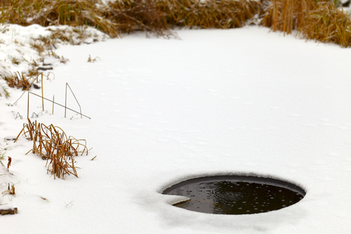 Hole in ice on outdoor pond caused by aeration|WInter koi pond with hole from aeration